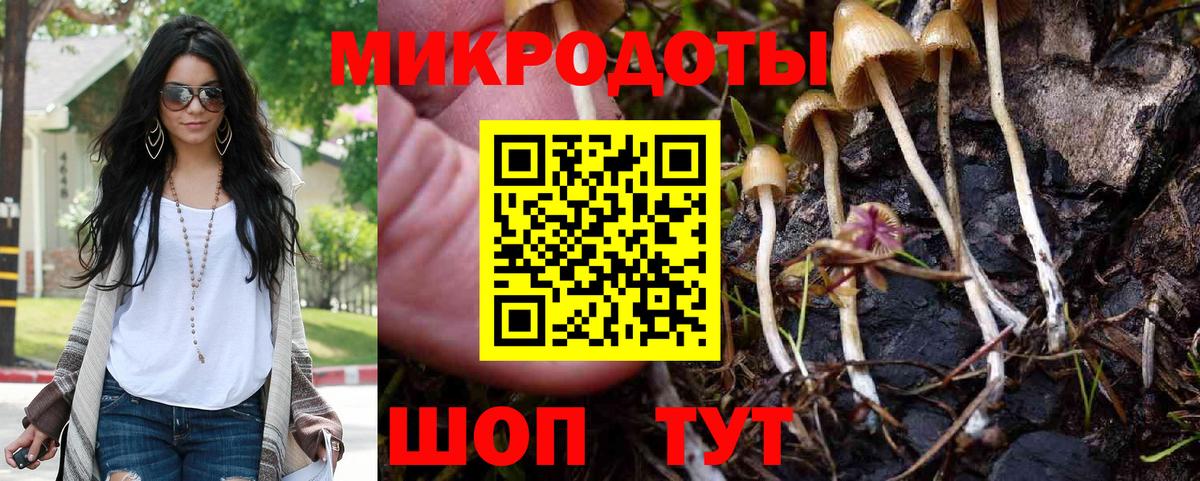 Лсд 25 Анапа