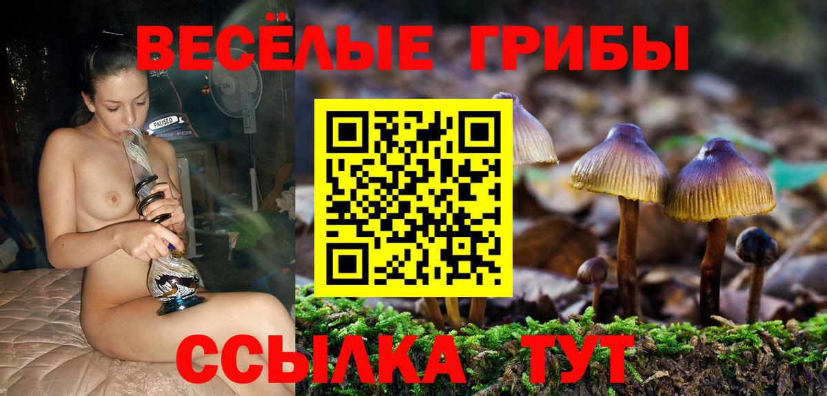 Псилоцибиновые грибы Psilocybe Анапа