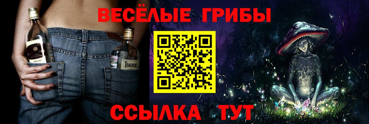 Анапа  Галлюциногенные грибы GOLDEN TEACHER  Галлюциногенные грибы Psilocybe  Вход с VPN 